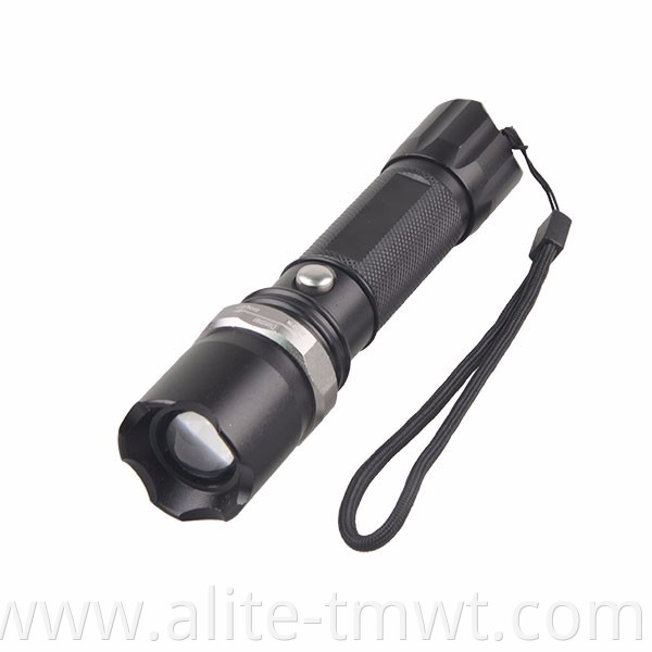 Rechargeable Blacklight Flashlight Ultraviolet LED UV Torch with Zoom